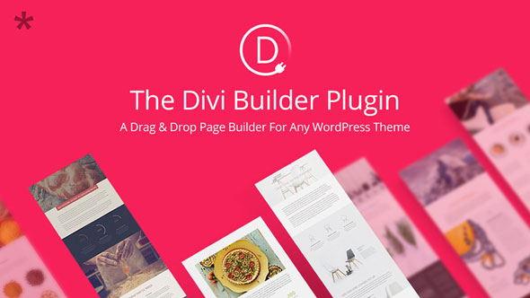 Divi Builder v4.17.3 – Drag & Drop Page Builder Plugin